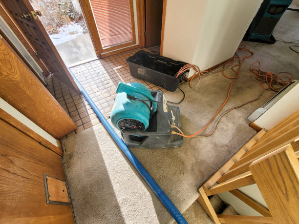 Best Flooded house restoration  in Allendale, MI