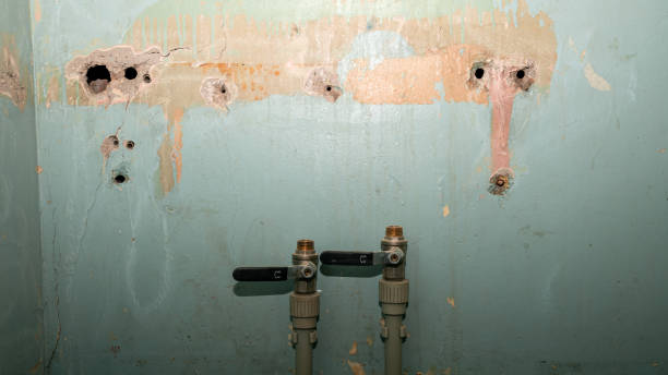 Best Emergency water damage restoration  in Allendale, MI
