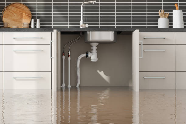 Water damage restoration mold remediation in MI