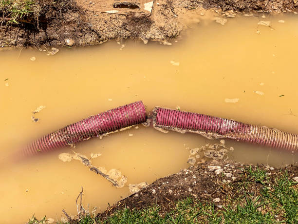 Best 24-hour water damage restoration  in Allendale, MI